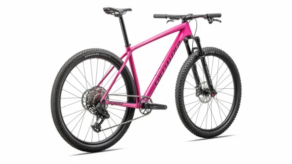 Epic Hardtail Comp<Specialized Online