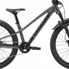 Riprock Expert 24<Specialized Clearance
