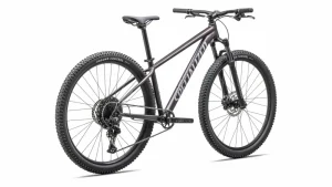 Rockhopper Comp<Specialized New