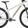 Rockhopper Expert<Specialized Sale