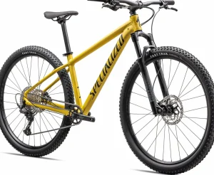 Rockhopper Expert<Specialized Discount