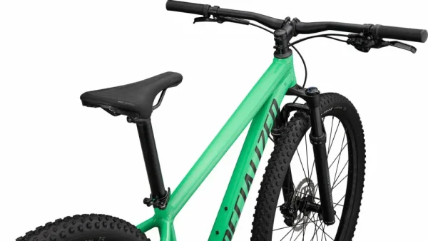 Rockhopper Expert<Specialized Discount