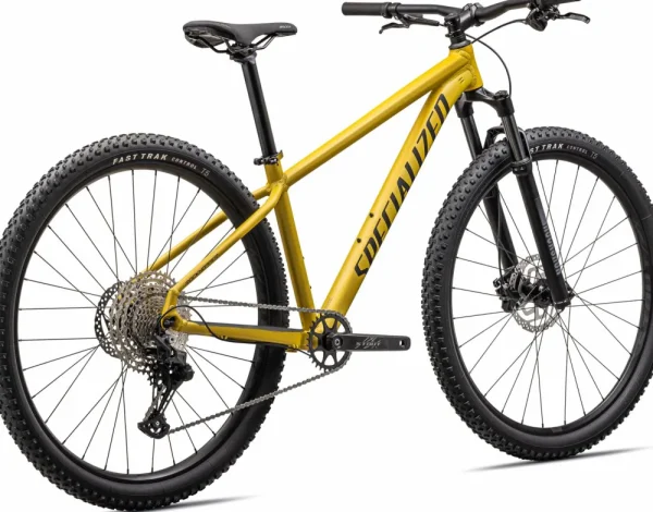 Rockhopper Expert<Specialized Discount