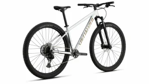 Rockhopper Expert<Specialized Sale