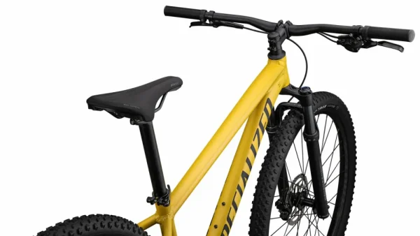 Rockhopper Expert<Specialized Discount