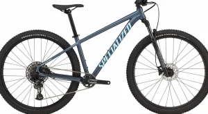 Rockhopper Expert<Specialized Sale