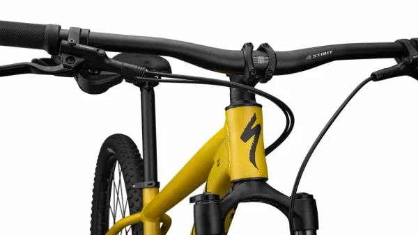 Rockhopper Expert<Specialized Discount