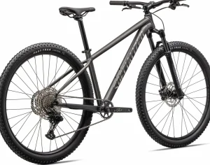 Rockhopper Expert<Specialized Discount
