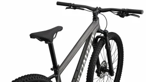 Rockhopper Expert<Specialized Discount