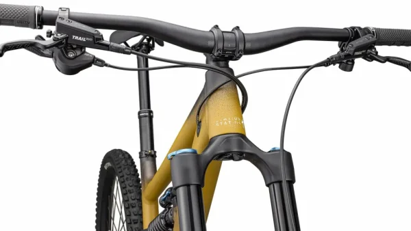 Status 2 170<Specialized Best
