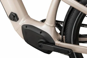 Turbo Como 4.0<Specialized Hot