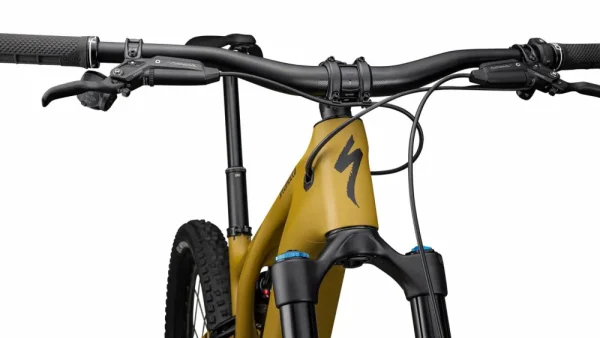 Turbo Levo Expert<Specialized Best